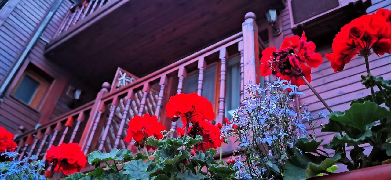 Hotel Albatros Old Town Σωζόπολη Εξωτερικό φωτογραφία